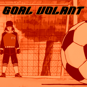 Goal-Volant